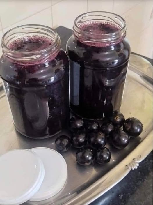 GELÉIA DE JABUTICABA